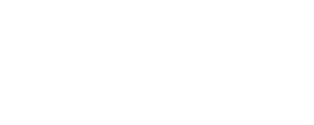 Roman Veselý